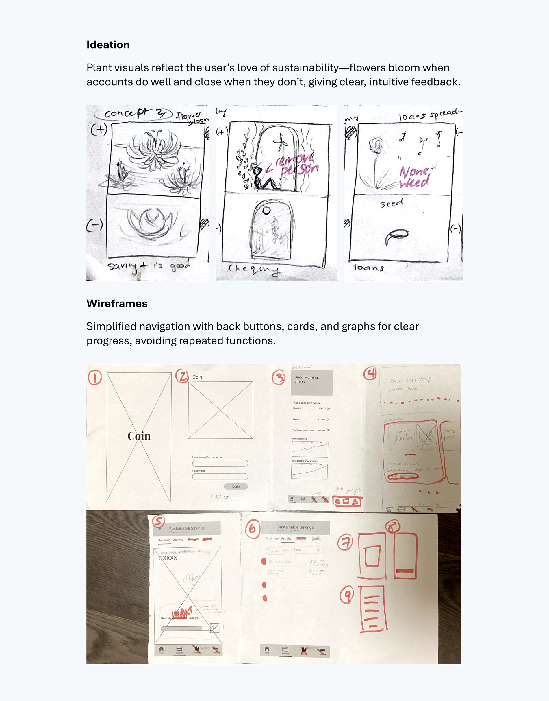 Dog Creek Cellars wine bottle package design